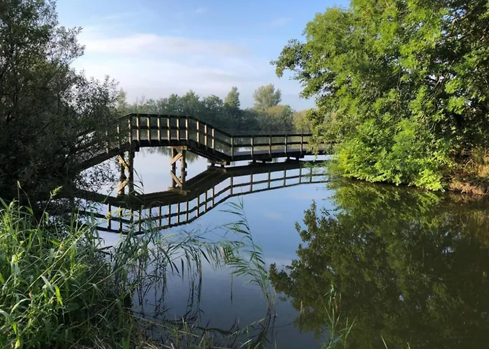 Alpehytte 503a Op Recreatiepark De Wielen Sint Maarten