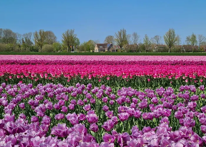 503a Op Recreatiepark De Wielen Alpehytte *